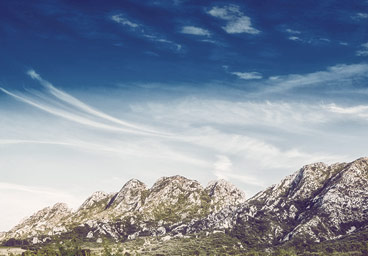 精彩纷呈的ddos攻击器安卓ios下载